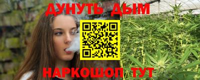 индика Будённовск